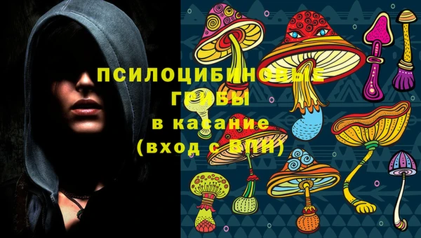 ешки Балахна