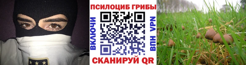Псилоцибиновые грибы Psilocybe  купить наркотик  Рыбинск 
